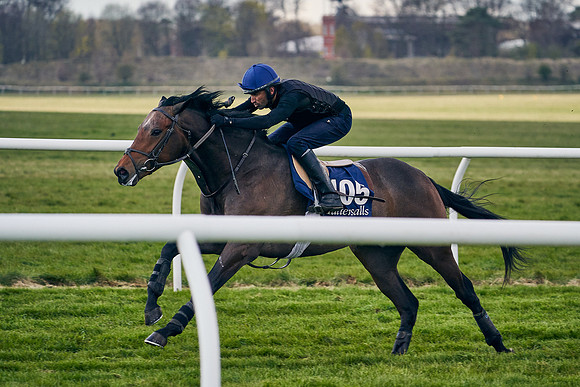 2021-04-12-Dominic-James-Craven-Breeze-Up-Sales-1283