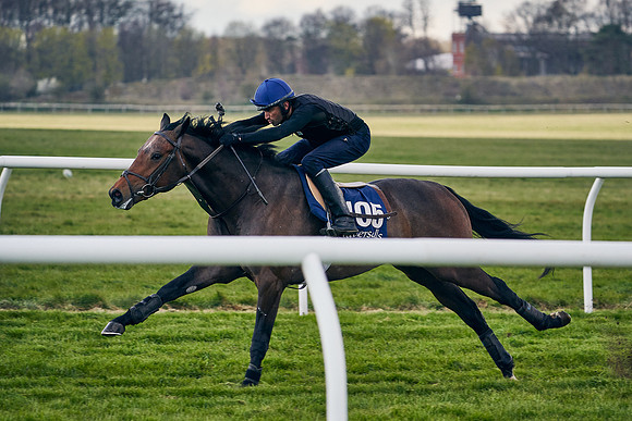 2021-04-12-Dominic-James-Craven-Breeze-Up-Sales-1284