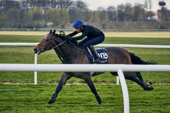 2021-04-12-Dominic-James-Craven-Breeze-Up-Sales-1285