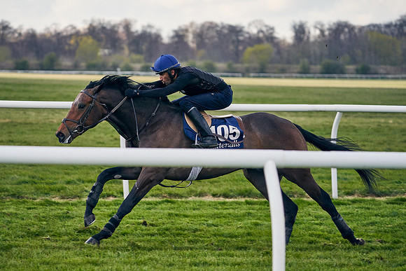 2021-04-12-Dominic-James-Craven-Breeze-Up-Sales-1286