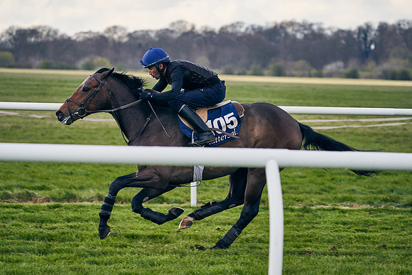 2021-04-12-Dominic-James-Craven-Breeze-Up-Sales-1287