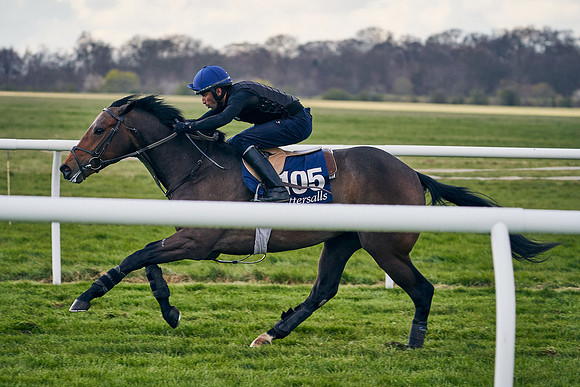 2021-04-12-Dominic-James-Craven-Breeze-Up-Sales-1288