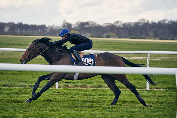 2021-04-12-Dominic-James-Craven-Breeze-Up-Sales-1289