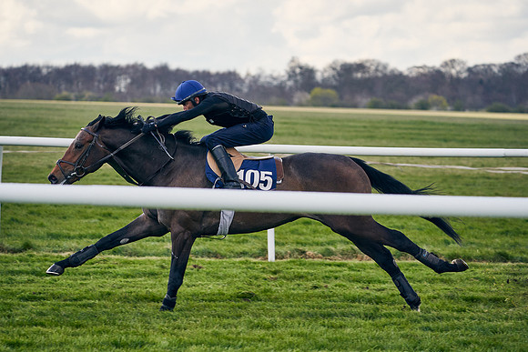 2021-04-12-Dominic-James-Craven-Breeze-Up-Sales-1290