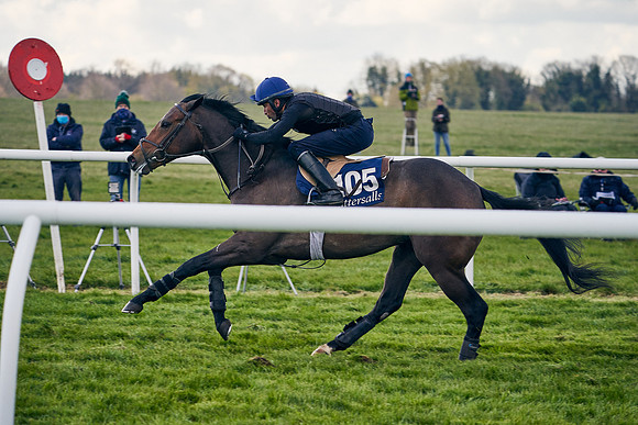 2021-04-12-Dominic-James-Craven-Breeze-Up-Sales-1291