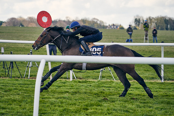 2021-04-12-Dominic-James-Craven-Breeze-Up-Sales-1292