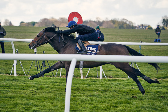 2021-04-12-Dominic-James-Craven-Breeze-Up-Sales-1293