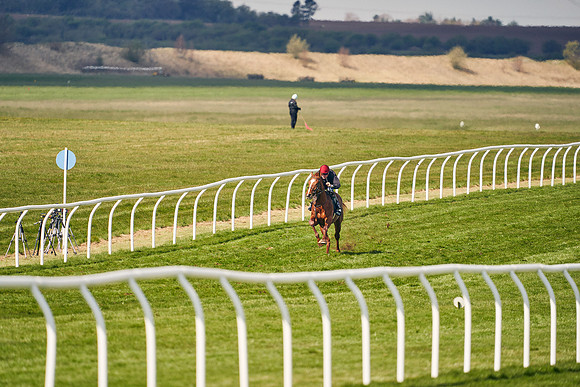 2021-04-12-Dominic-James-Craven-Breeze-Up-Sales-1297