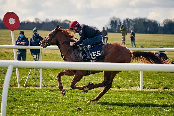 2021-04-12-Dominic-James-Craven-Breeze-Up-Sales-1300