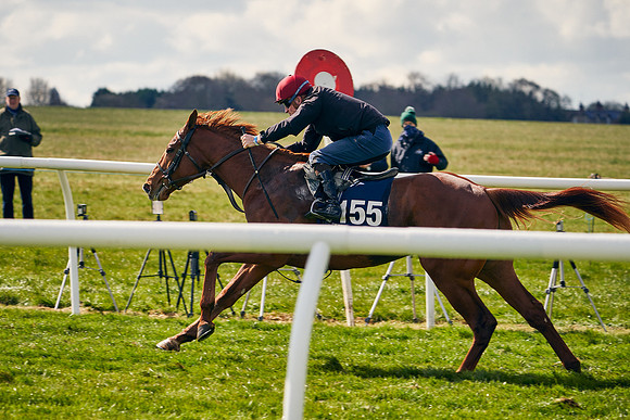 2021-04-12-Dominic-James-Craven-Breeze-Up-Sales-1302
