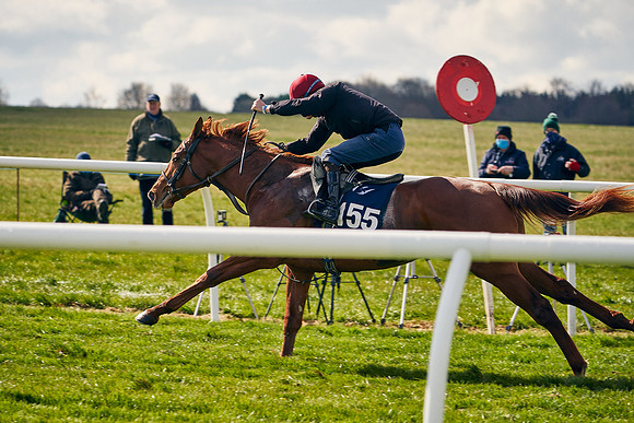 2021-04-12-Dominic-James-Craven-Breeze-Up-Sales-1303