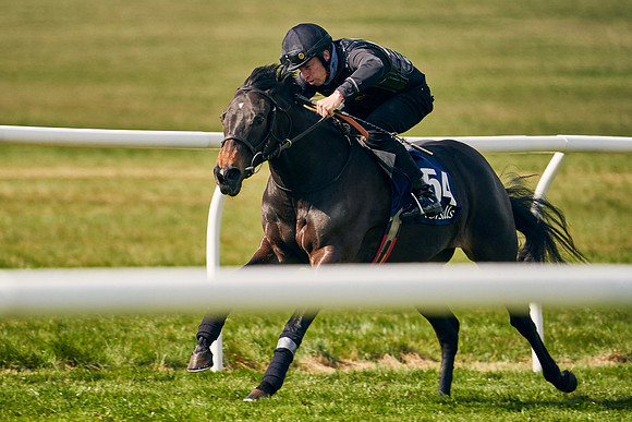 2021-04-12-Dominic-James-Craven-Breeze-Up-Sales-1304