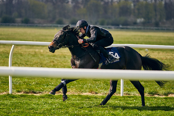 2021-04-12-Dominic-James-Craven-Breeze-Up-Sales-1305