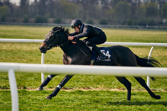 2021-04-12-Dominic-James-Craven-Breeze-Up-Sales-1306