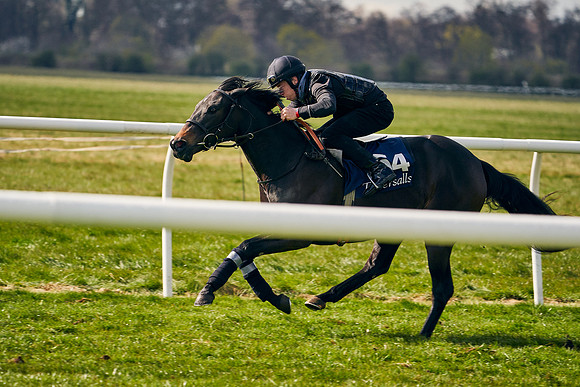 2021-04-12-Dominic-James-Craven-Breeze-Up-Sales-1307