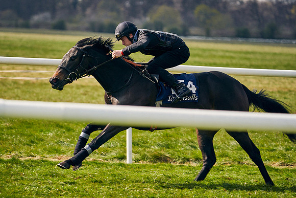 2021-04-12-Dominic-James-Craven-Breeze-Up-Sales-1308