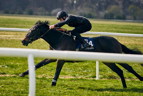 2021-04-12-Dominic-James-Craven-Breeze-Up-Sales-1309