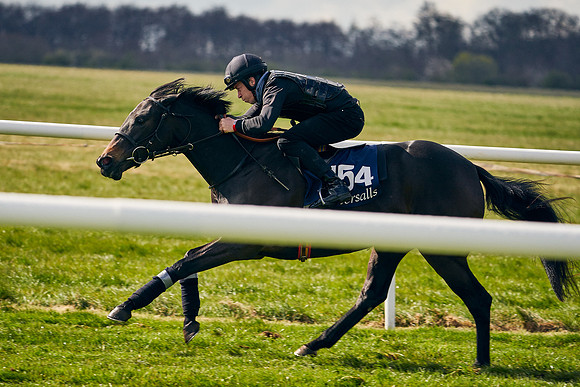 2021-04-12-Dominic-James-Craven-Breeze-Up-Sales-1310
