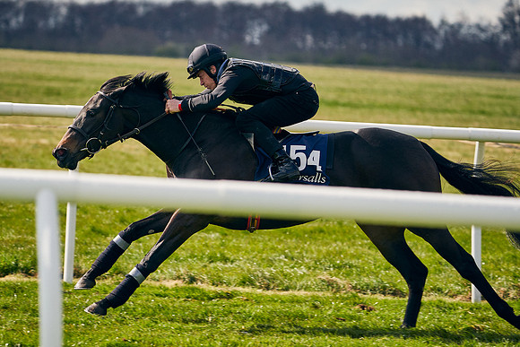 2021-04-12-Dominic-James-Craven-Breeze-Up-Sales-1311