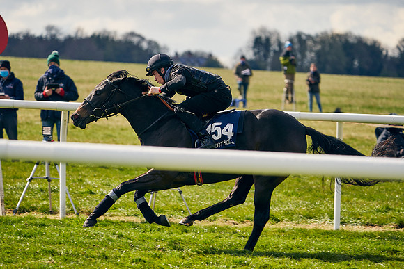 2021-04-12-Dominic-James-Craven-Breeze-Up-Sales-1312