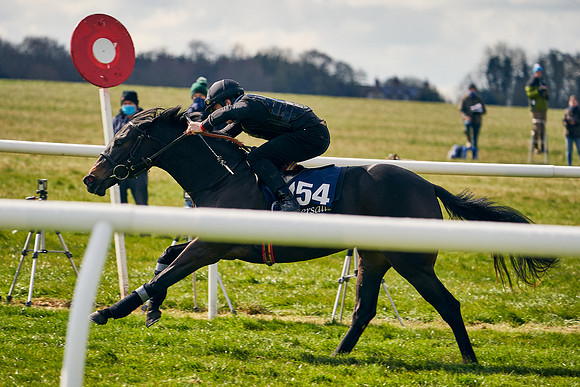 2021-04-12-Dominic-James-Craven-Breeze-Up-Sales-1313