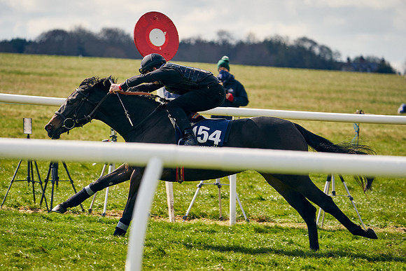 2021-04-12-Dominic-James-Craven-Breeze-Up-Sales-1314
