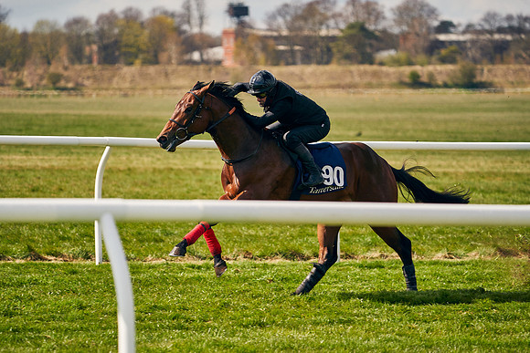 2021-04-12-Dominic-James-Craven-Breeze-Up-Sales-1316