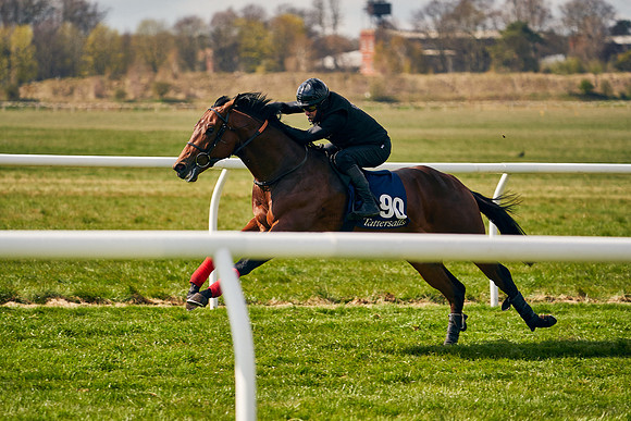 2021-04-12-Dominic-James-Craven-Breeze-Up-Sales-1317