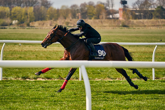 2021-04-12-Dominic-James-Craven-Breeze-Up-Sales-1318
