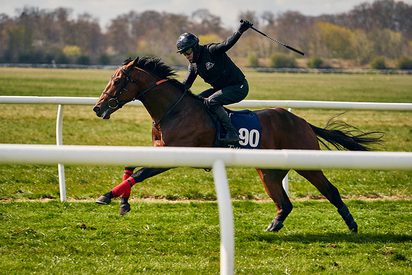 2021-04-12-Dominic-James-Craven-Breeze-Up-Sales-1319