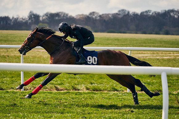 2021-04-12-Dominic-James-Craven-Breeze-Up-Sales-1320