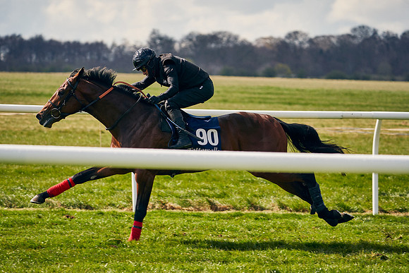 2021-04-12-Dominic-James-Craven-Breeze-Up-Sales-1321