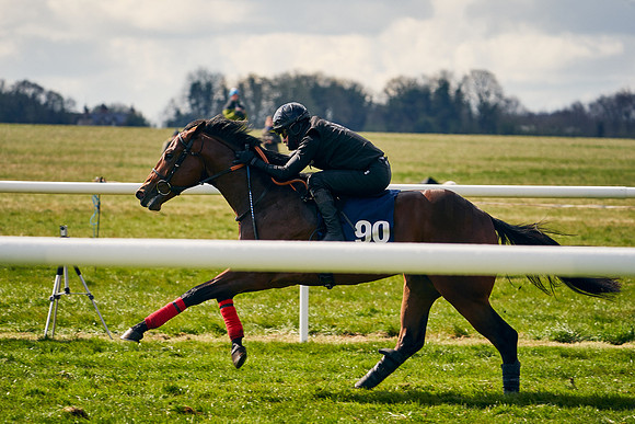 2021-04-12-Dominic-James-Craven-Breeze-Up-Sales-1322