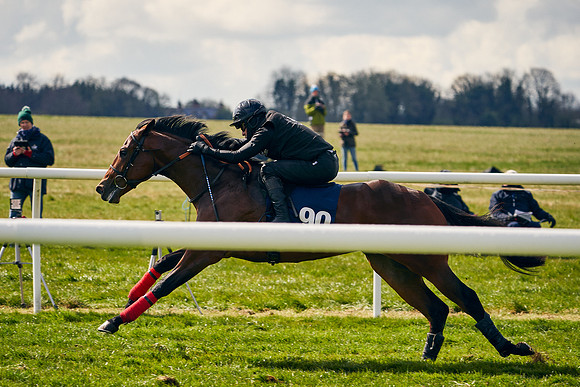 2021-04-12-Dominic-James-Craven-Breeze-Up-Sales-1323