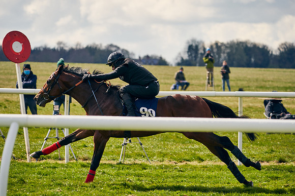 2021-04-12-Dominic-James-Craven-Breeze-Up-Sales-1324