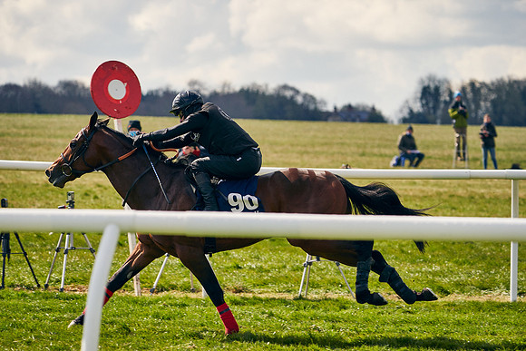 2021-04-12-Dominic-James-Craven-Breeze-Up-Sales-1325