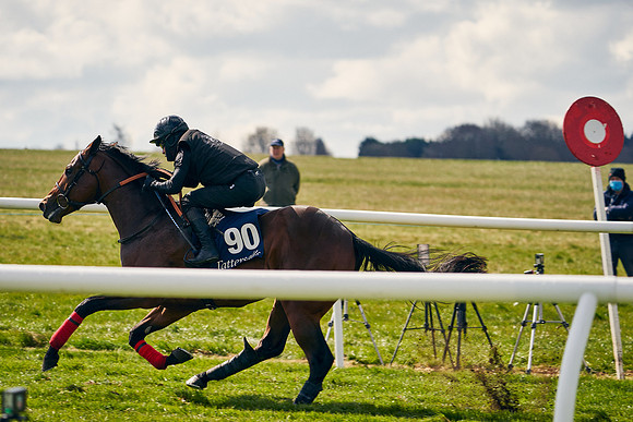 2021-04-12-Dominic-James-Craven-Breeze-Up-Sales-1326