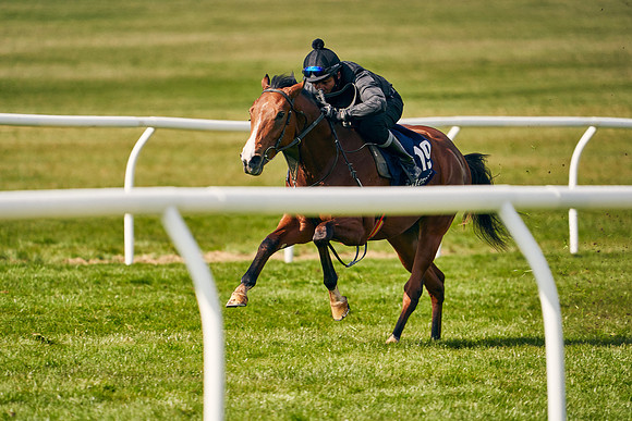 2021-04-12-Dominic-James-Craven-Breeze-Up-Sales-1327