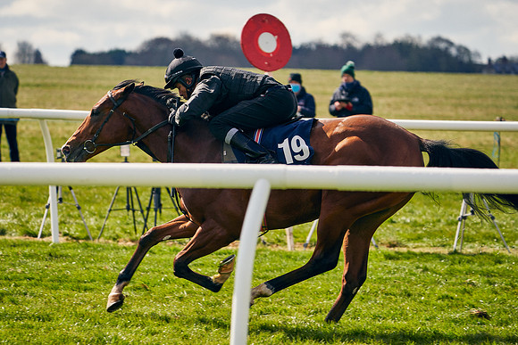 2021-04-12-Dominic-James-Craven-Breeze-Up-Sales-1328