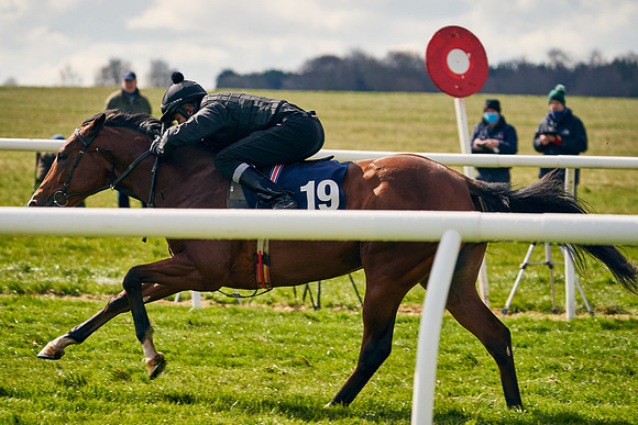 2021-04-12-Dominic-James-Craven-Breeze-Up-Sales-1329