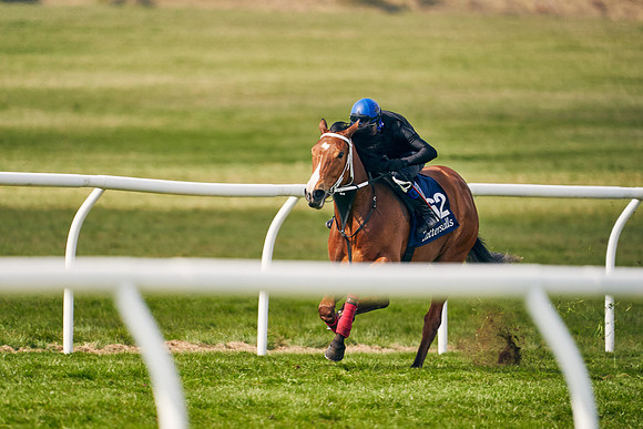 2021-04-12-Dominic-James-Craven-Breeze-Up-Sales-1330