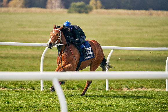 2021-04-12-Dominic-James-Craven-Breeze-Up-Sales-1331