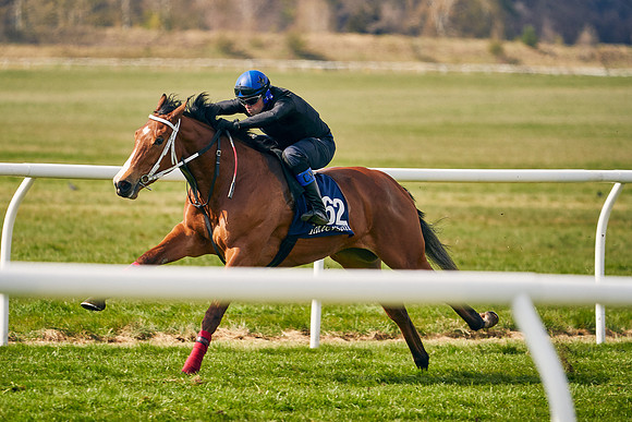 2021-04-12-Dominic-James-Craven-Breeze-Up-Sales-1332