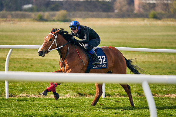 2021-04-12-Dominic-James-Craven-Breeze-Up-Sales-1333
