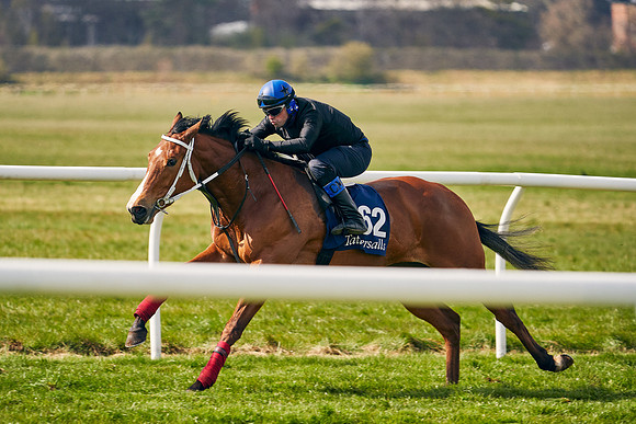 2021-04-12-Dominic-James-Craven-Breeze-Up-Sales-1334