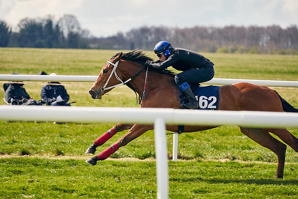 2021-04-12-Dominic-James-Craven-Breeze-Up-Sales-1335