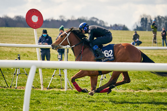 2021-04-12-Dominic-James-Craven-Breeze-Up-Sales-1336