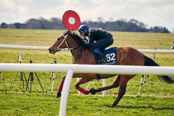 2021-04-12-Dominic-James-Craven-Breeze-Up-Sales-1337