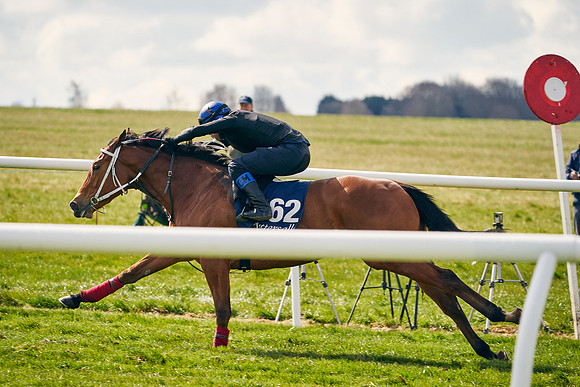 2021-04-12-Dominic-James-Craven-Breeze-Up-Sales-1340