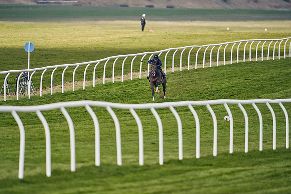 2021-04-12-Dominic-James-Craven-Breeze-Up-Sales-1341
